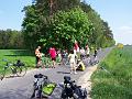 gal/1_7dobrzyn20070520/thumbnails/_thb_Z075.JPG