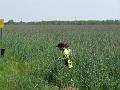 gal/1_7dobrzyn20070520/thumbnails/_thb_Z076.JPG