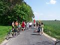 gal/1_7dobrzyn20070520/thumbnails/_thb_Z079.JPG