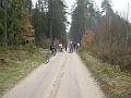 gal/2_3wj20080412/thumbnails/_thb_154.JPG