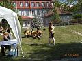 gal/2_5MaratonKolobrzeg2008/thumbnails/_thb_Zdj033.jpg