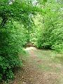 gal/2_9walerianowo2008/thumbnails/_thb_DSCF9323.JPG
