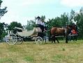 gal/3_1Grunwald2008/thumbnails/_thb_DSCF9513.JPG