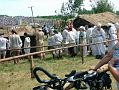 gal/3_1Grunwald2008/thumbnails/_thb_DSCF9524.JPG