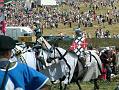 gal/3_1Grunwald2008/thumbnails/_thb_DSCF9565.JPG