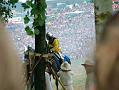 gal/3_1Grunwald2008/thumbnails/_thb_DSCF9597.JPG