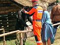 gal/3_1Grunwald2008/thumbnails/_thb_DSCF9626.JPG