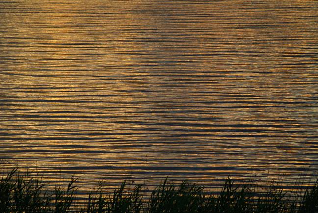 gal/3_2wilno2008/DSC03032.JPG