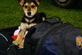 gal/3_2wilno2008/thumbnails/_thb_DSC02672.JPG