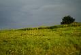 gal/3_2wilno2008/thumbnails/_thb_DSC02727.JPG