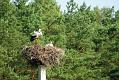 gal/3_2wilno2008/thumbnails/_thb_DSC02922.JPG