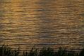 gal/3_2wilno2008/thumbnails/_thb_DSC03032.JPG