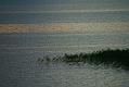 gal/3_2wilno2008/thumbnails/_thb_DSC03034.JPG