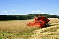 gal/3_2wilno2008/thumbnails/_thb_DSC03553.JPG
