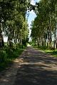 gal/3_2wilno2008/thumbnails/_thb_DSC03687.JPG