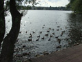 gal/3_3objazdilawy/thumbnails/_thb_DSCF2269.JPG